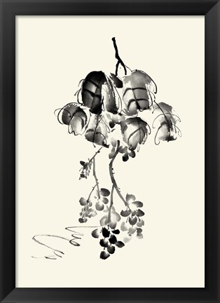 Framed Ink Wash Floral V - Grapes Print