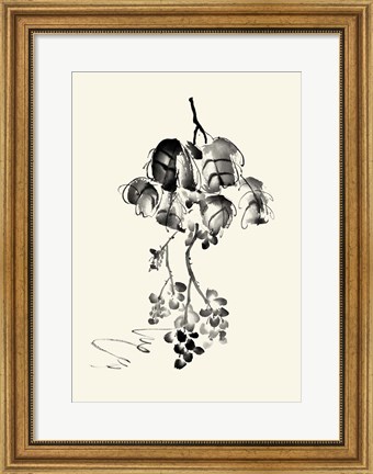 Framed Ink Wash Floral V - Grapes Print