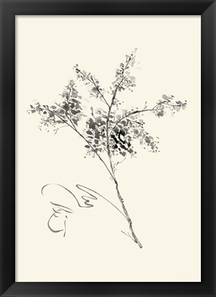 Framed Ink Wash Floral VII - Forsythia Print