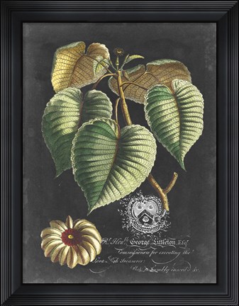 Framed Royal Foliage I Print