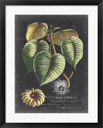 Framed Royal Foliage I Print