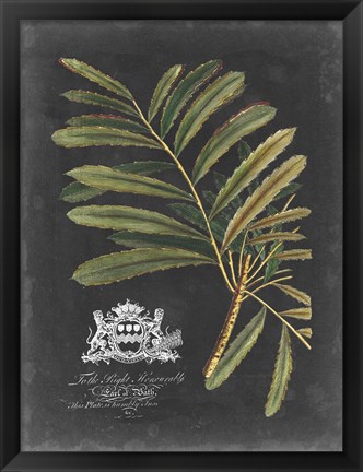 Framed Royal Foliage II Print