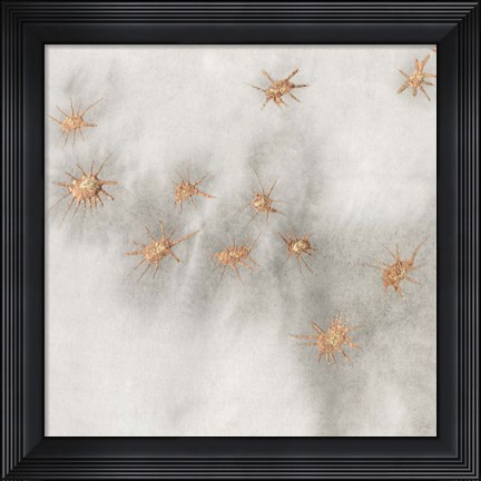 Framed Spangled Grey III Print