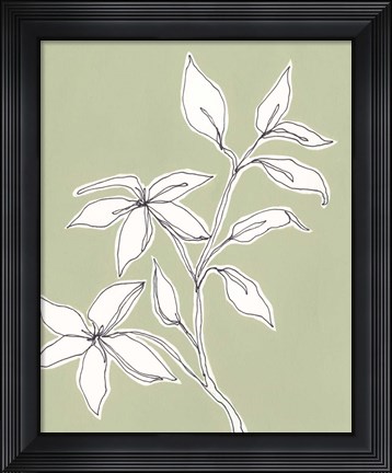 Framed Botanic Drawing I Print