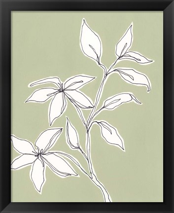 Framed Botanic Drawing I Print