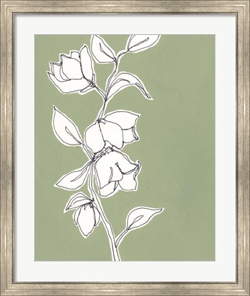 Framed Botanic Drawing II Print