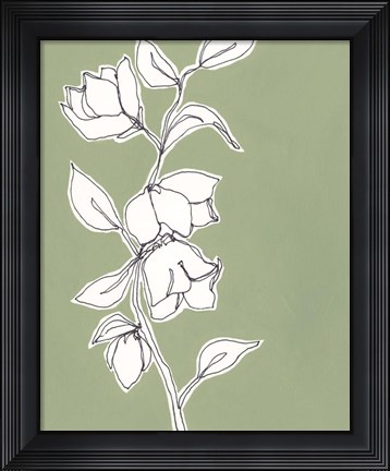 Framed Botanic Drawing II Print