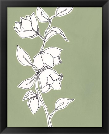 Framed Botanic Drawing II Print