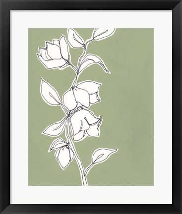 Framed Botanic Drawing II Print