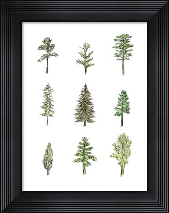 Framed Collected Pines I Print