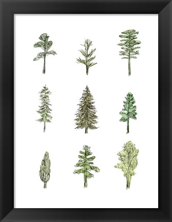 Framed Collected Pines I Print