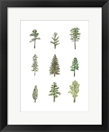 Framed Collected Pines I Print