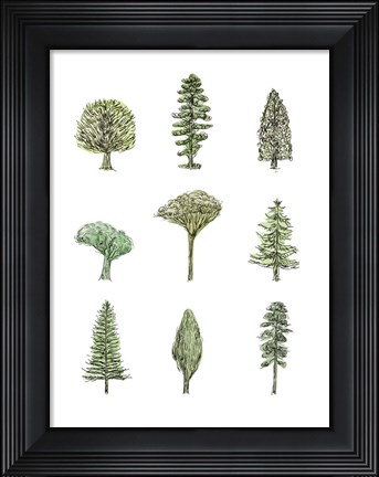 Framed Collected Pines II Print