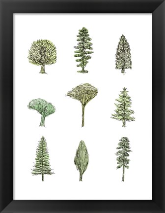 Framed Collected Pines II Print