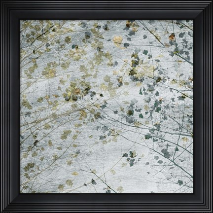 Framed Seasonal Transition II Print