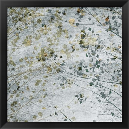 Framed Seasonal Transition II Print