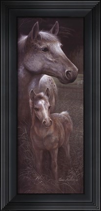 Framed Meredith&#39;s Tammy Print