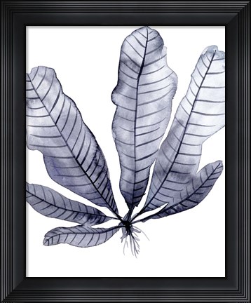 Framed Living Under Sea II Print
