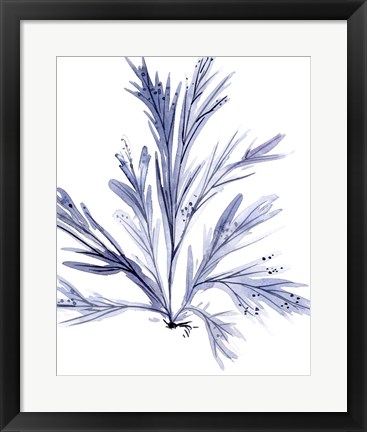 Framed Living Under Sea IV Print