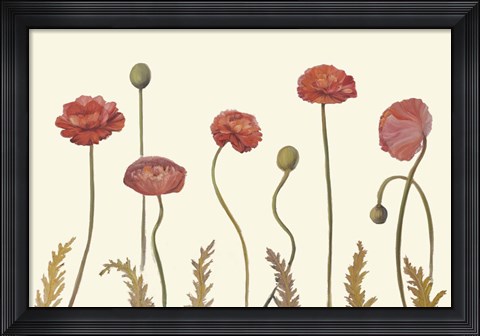 Framed Coral Poppy Display I Print