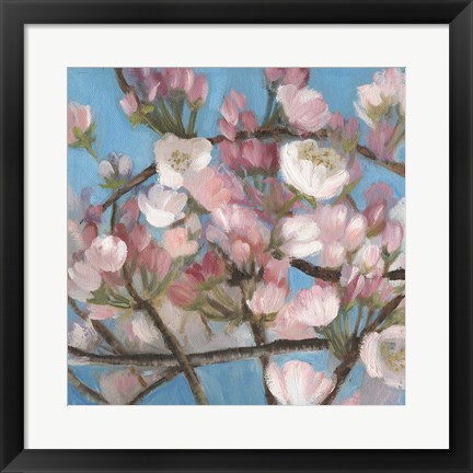 Framed Cherry Blossoms I Print