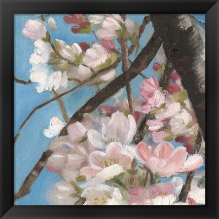 Framed Cherry Blossoms II Print