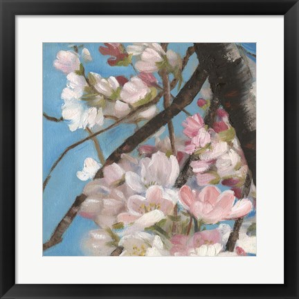 Framed Cherry Blossoms II Print