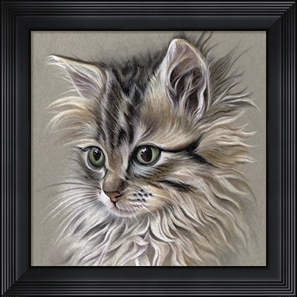 Framed Kitten Portrait I Print