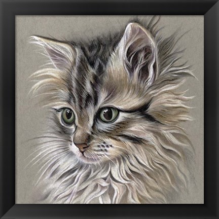 Framed Kitten Portrait I Print