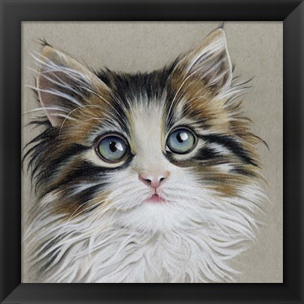 Framed Kitten Portrait II Print