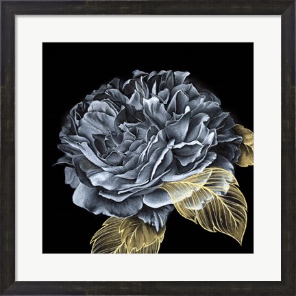 Framed River Roses I Print