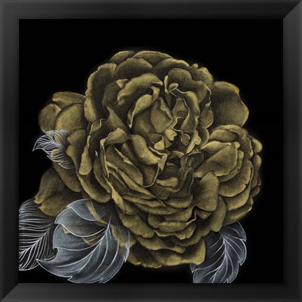 Framed River Roses II Print