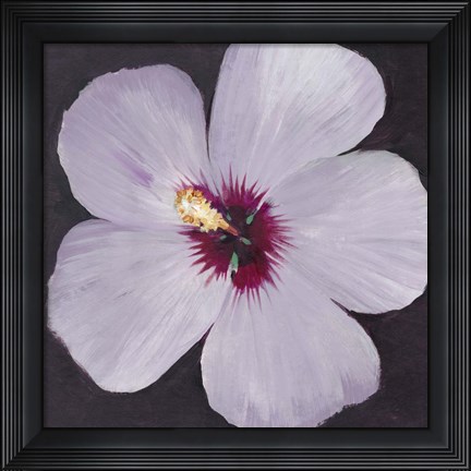 Framed Hibiscus Portrait I Print