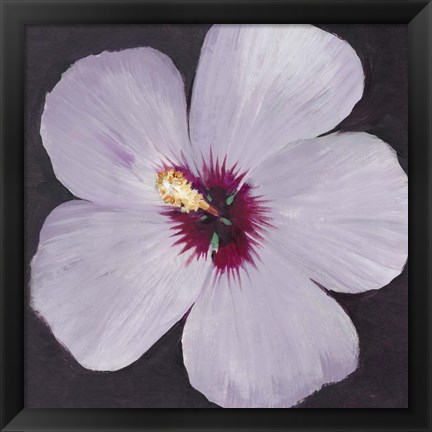 Framed Hibiscus Portrait I Print