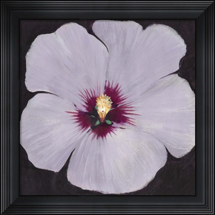 Framed Hibiscus Portrait II Print