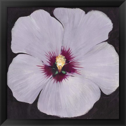 Framed Hibiscus Portrait II Print