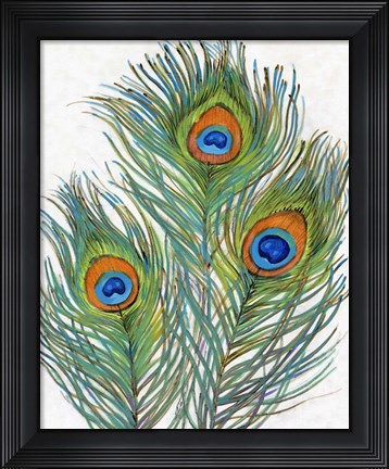 Framed Vivid Peacock Feathers II Print