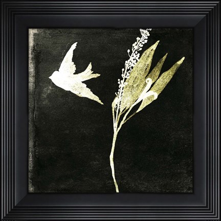 Framed Black Night II Print