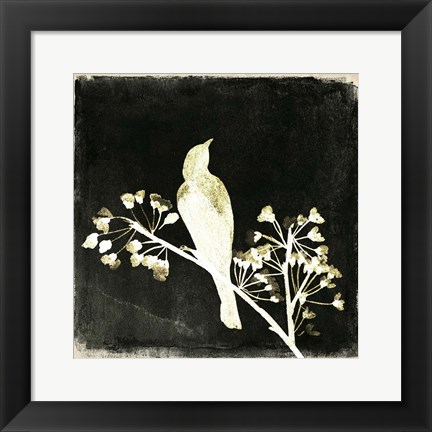 Framed Black Night III Print