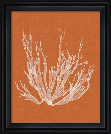 Framed Seaweed Pop I Print