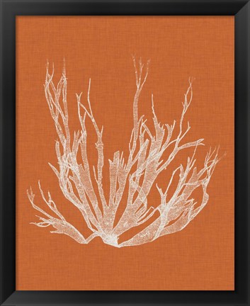 Framed Seaweed Pop I Print