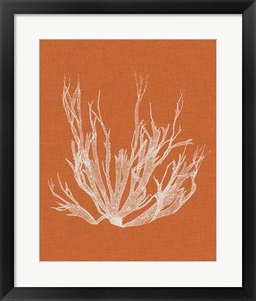 Framed Seaweed Pop I Print