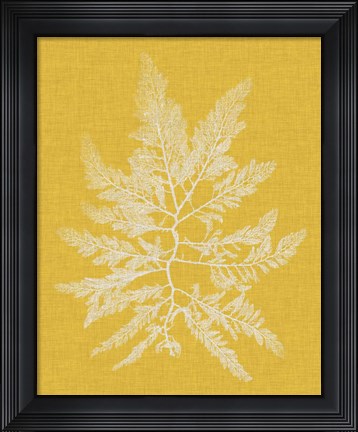Framed Seaweed Pop II Print