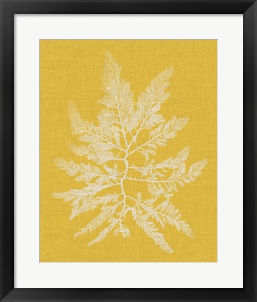 Framed Seaweed Pop II Print