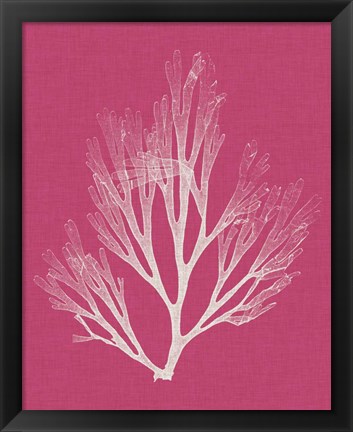 Framed Seaweed Pop III Print