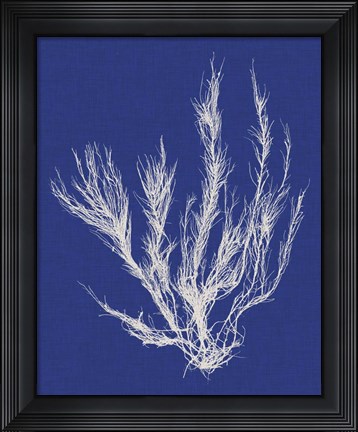Framed Seaweed Pop VI Print