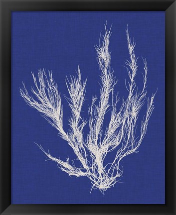 Framed Seaweed Pop VI Print