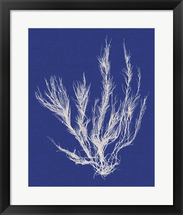 Framed Seaweed Pop VI Print