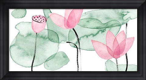 Framed Lotus in Nature III Print