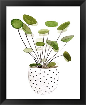 Framed Plant in a Pot II Print